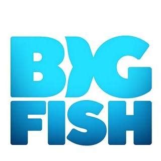Big Fish Careers .
